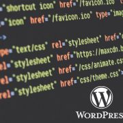 css wordpress