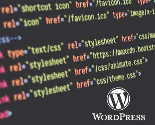 css wordpress